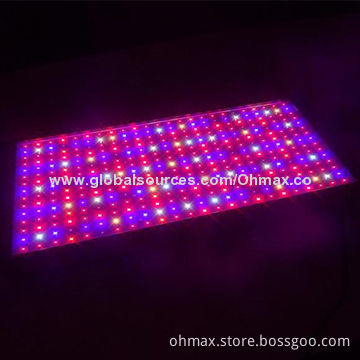 Dimmable and Adjustable LED Indoor Grow Light, 700W, Full Spectrum for Medicinal Plants Growth